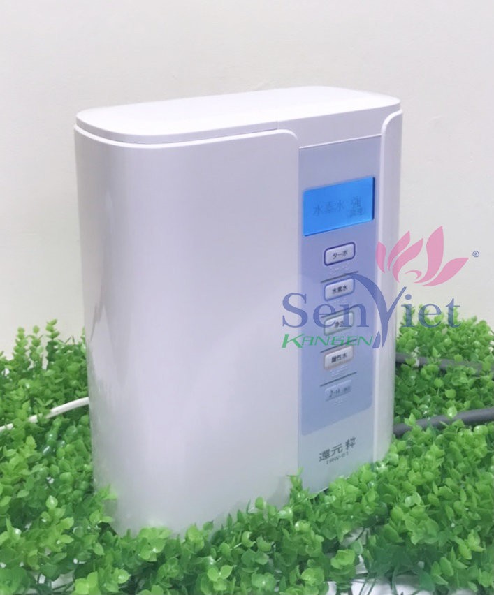z2707299430457_2b84746ecd788eab741fbe83ef0394b4